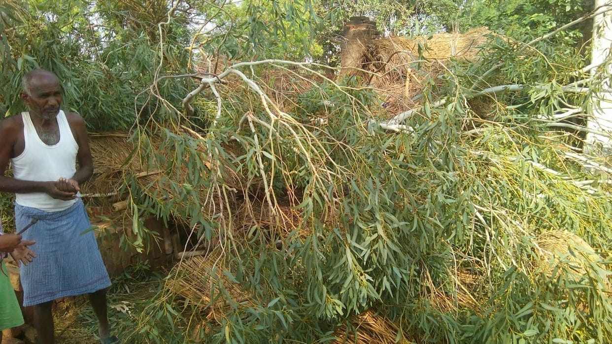 Storm losses