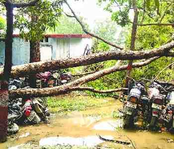 Teenager killed in the storm, power collapse