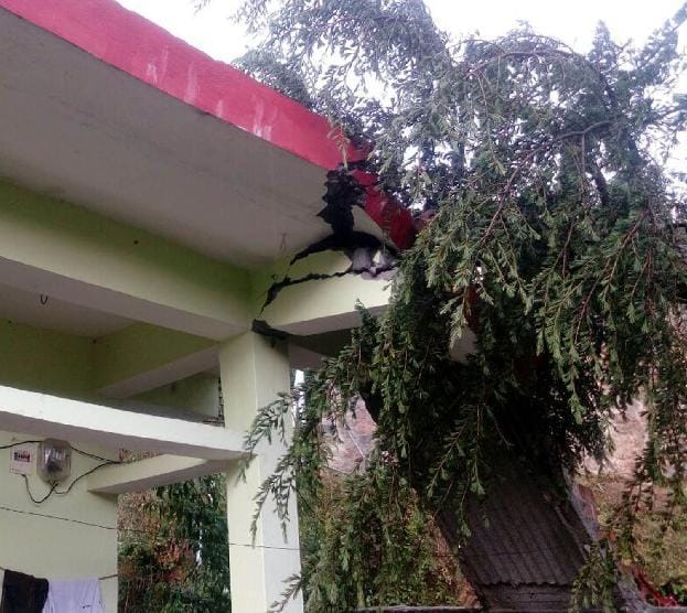 Trees fell on houses