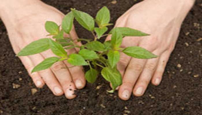 Getting mobile application monitoring plants