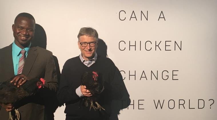 Bill Gates is donating 100000 chickens in Africa