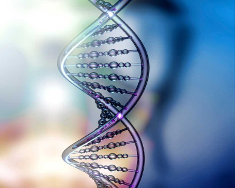 can covid vaccine effect human genome, what expert says
