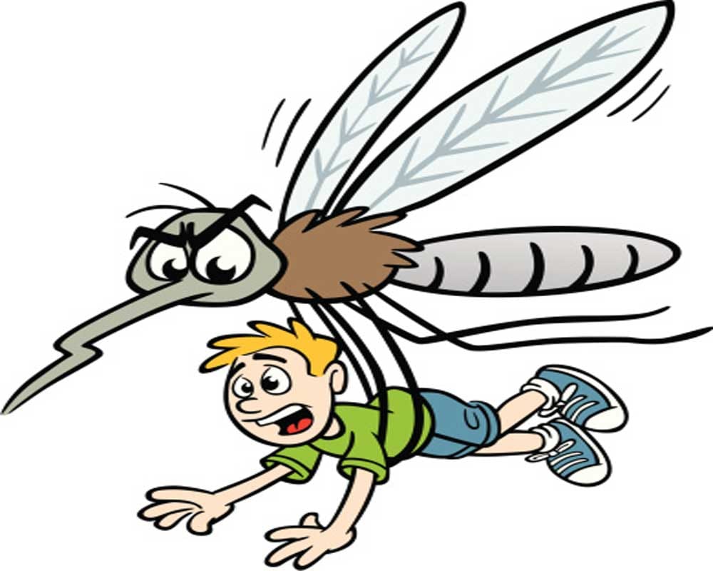 3 dead from fever