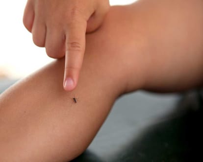 hundred new dengue patient in one day.