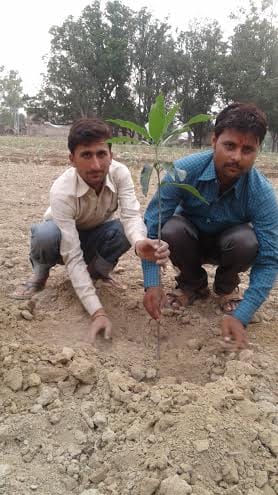 Educate people about planting