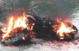 crime in puredevjani