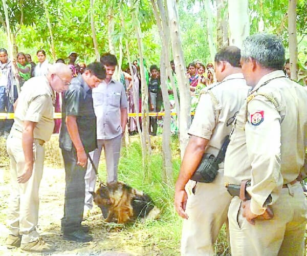  Murder in deeh in Raebareli.