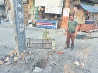 Fight, Environment, Plant, Tree, Parking, Yamunanagar, Haryana