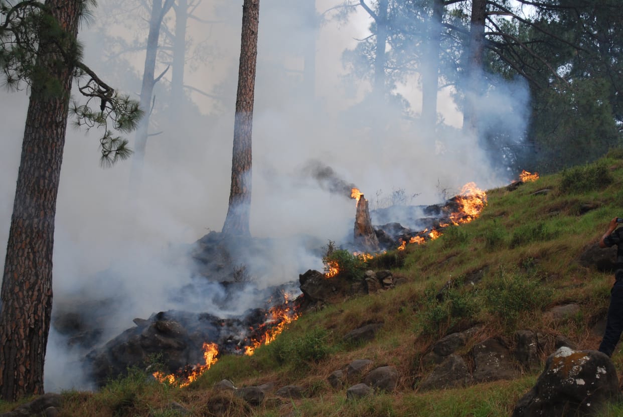 Forest fire breaks out in poonch and rajouri district 