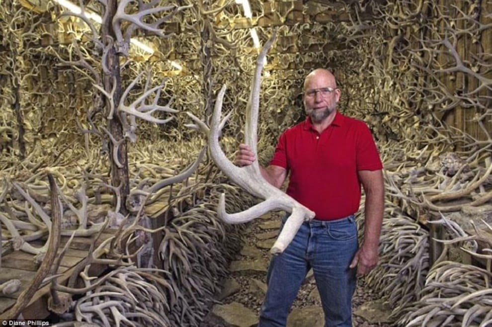 bone collector made horn house