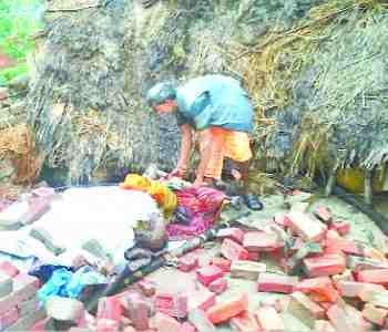 Ttrees fell on roads in blowing , traffic stalled