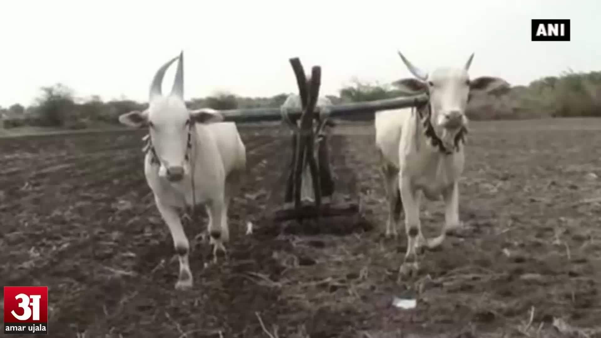 मानसून से मिली राहत