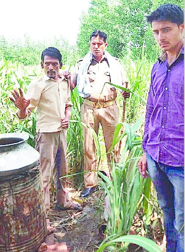 Sulgi found in the sugarcane alcohol furnace