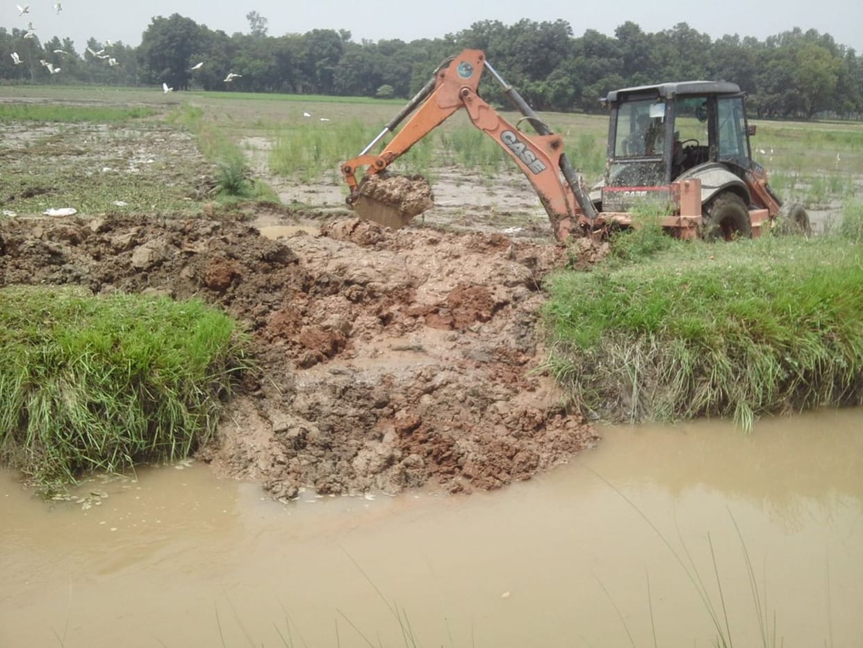 50 acres mentha were destroyed