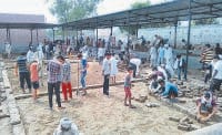 cow home making, jind
