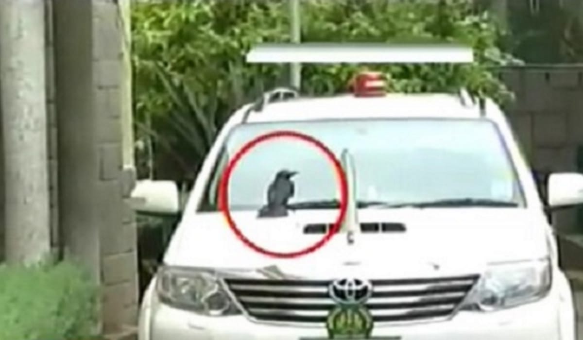 Breaking news: Crow sits on Siddaramaiah’s car, Kannada channels go kaa-kaa