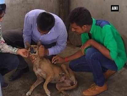 Inhumane act: Two men drag dog behind bike 'for fun'