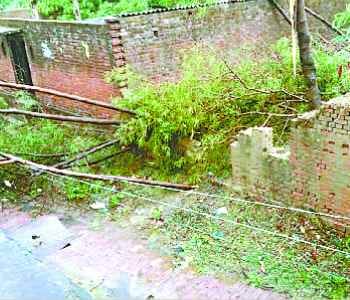 Old dead by lightning in panic, 8 scorched
