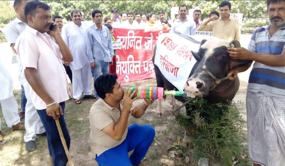 protest of JBT teacher against education department of haryana