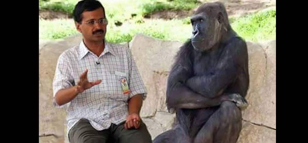 Making the most bad jokes of kejriwal on social media