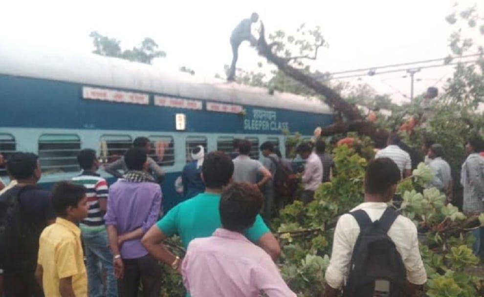 Tree collapsed on Kashi Vishwanath express, woman injured