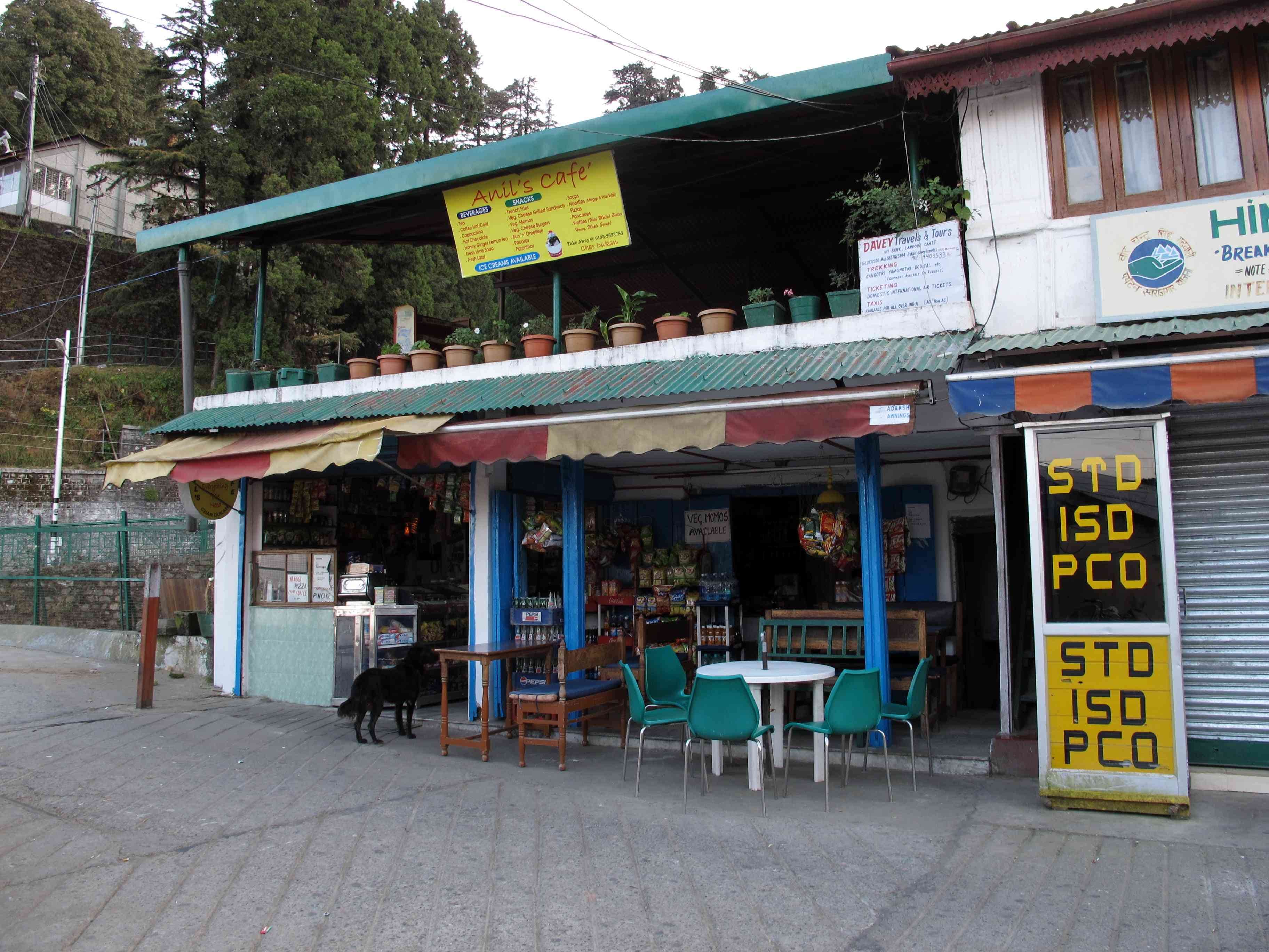 bollywood director ali abbas zafar in musoorie.