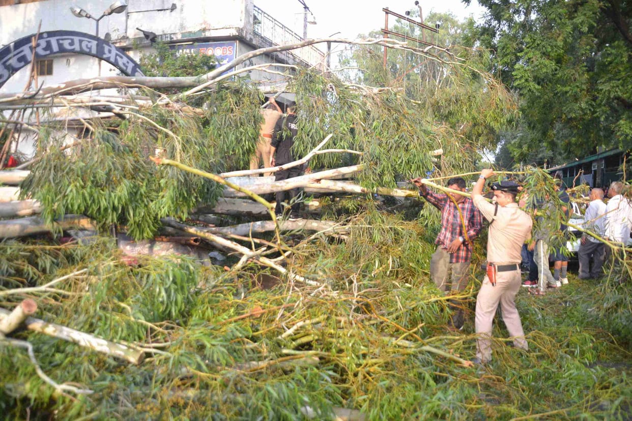 Storm toppled trees, death of the mother and son