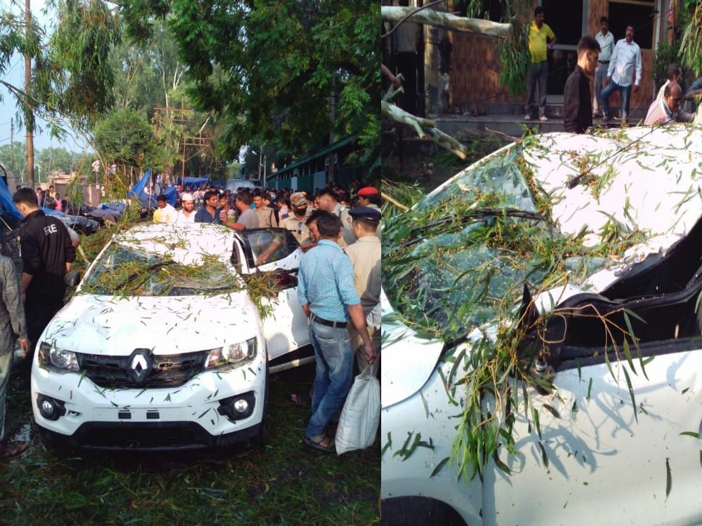 tree fell on car five injured