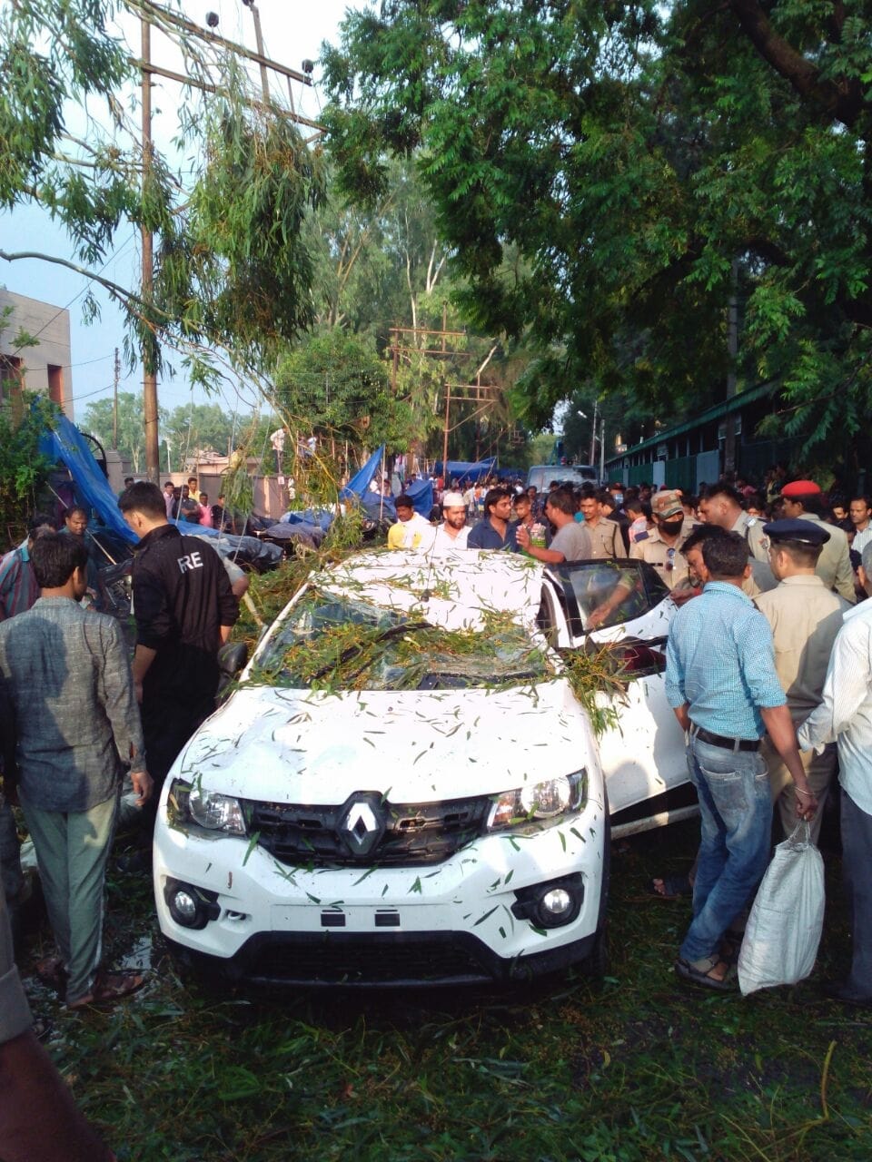 tree fell on car five injured