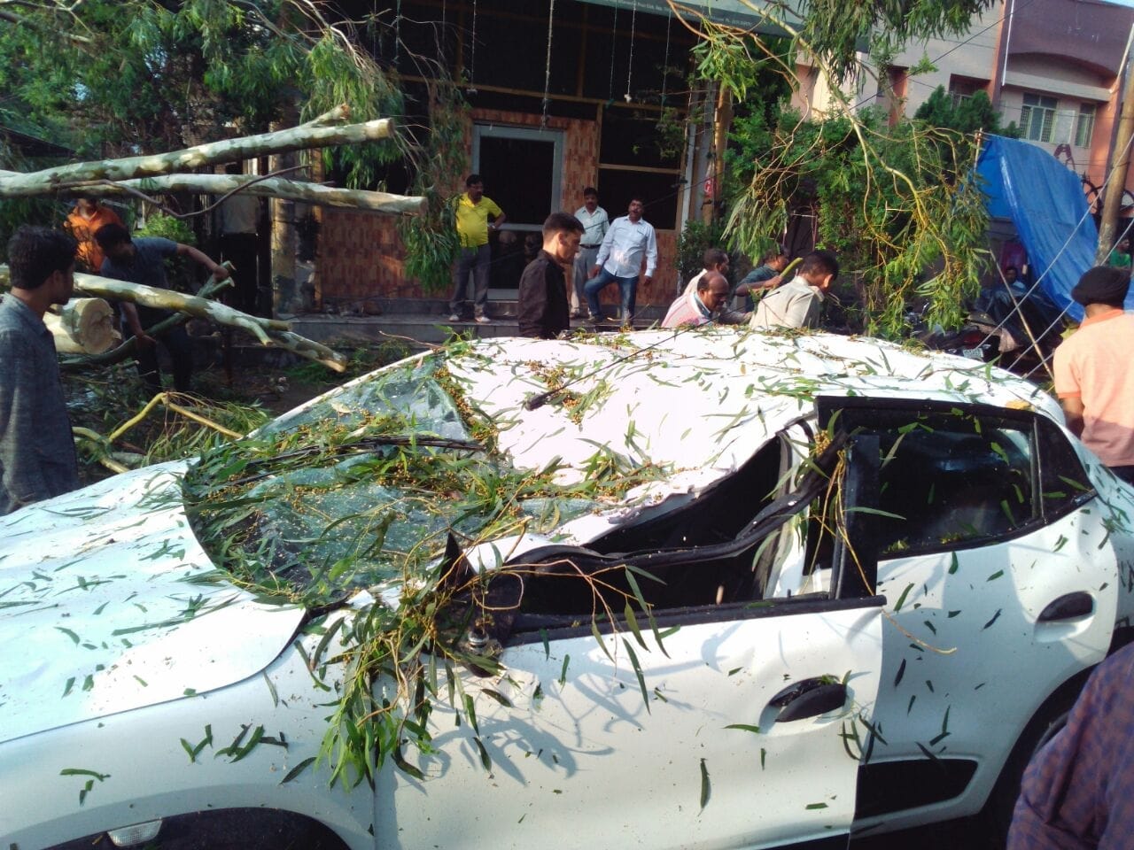 tree fell on car five injured