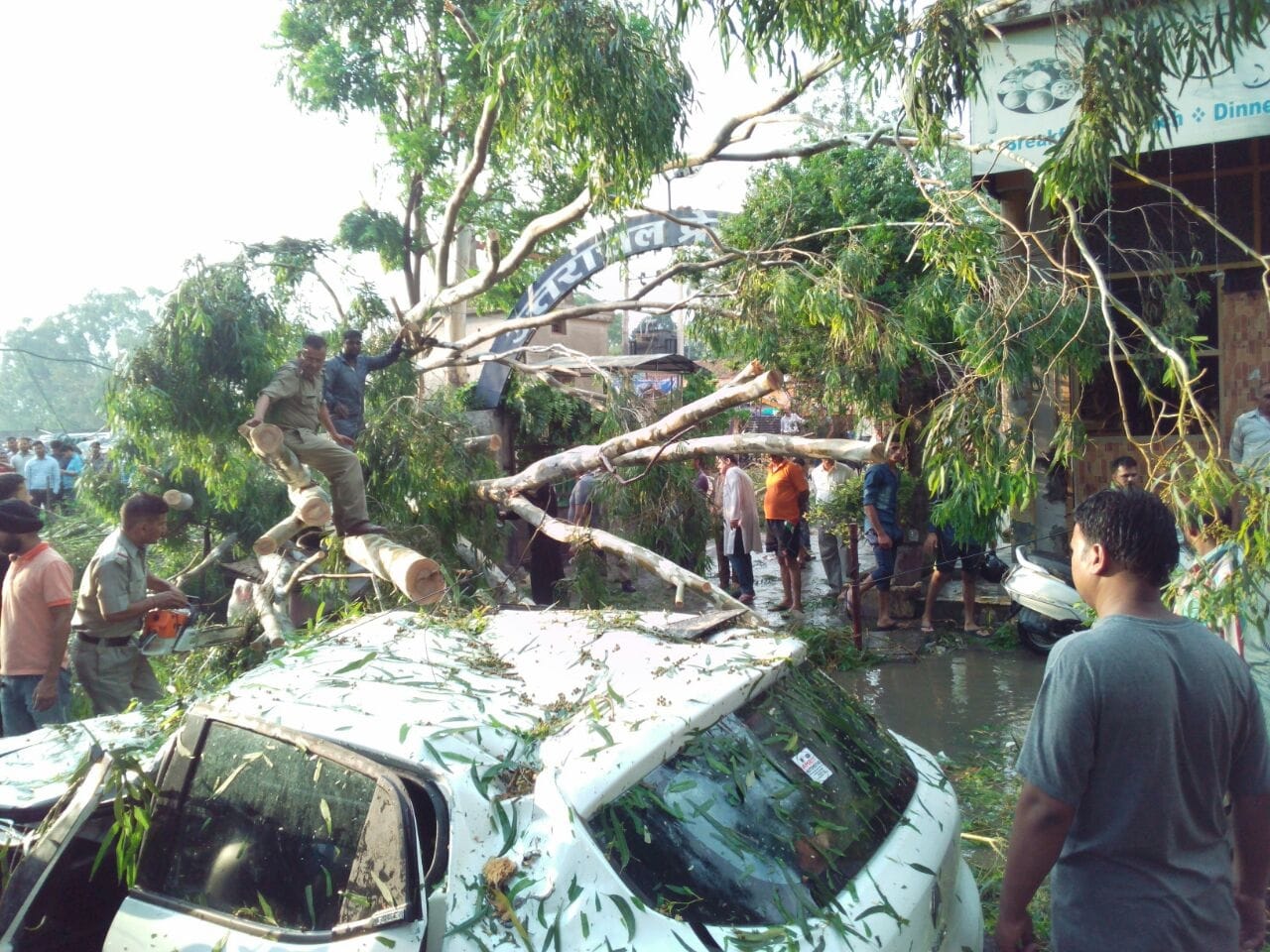 tree fell on car five injured