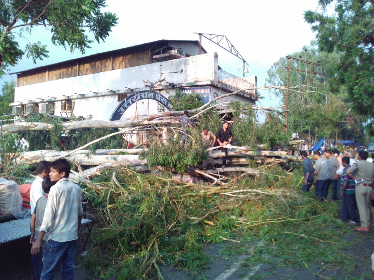 tree fell on car five injured