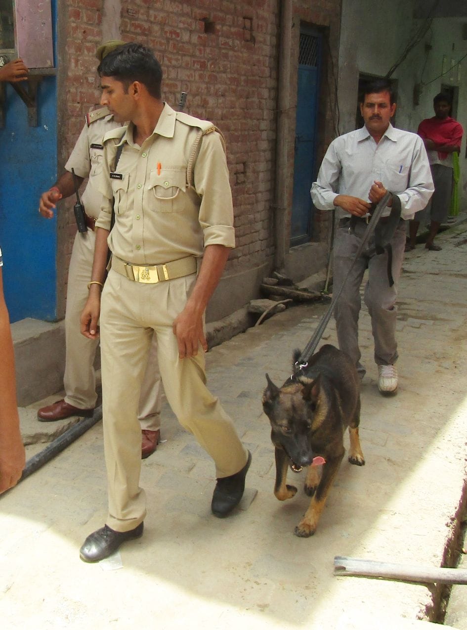 Police villain in the script will Kallu