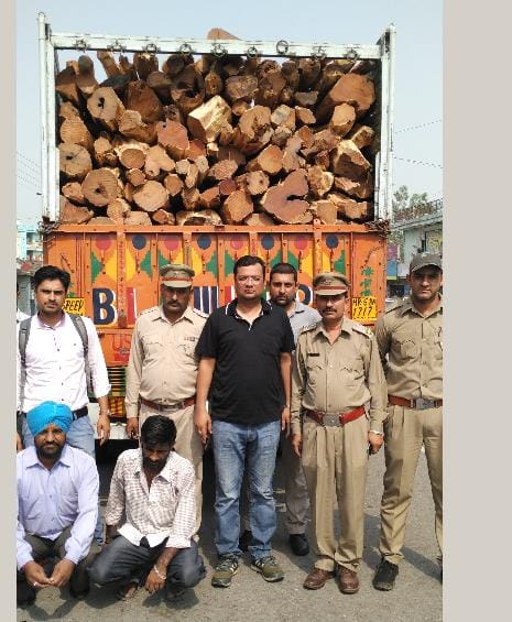 wooden truck captured 