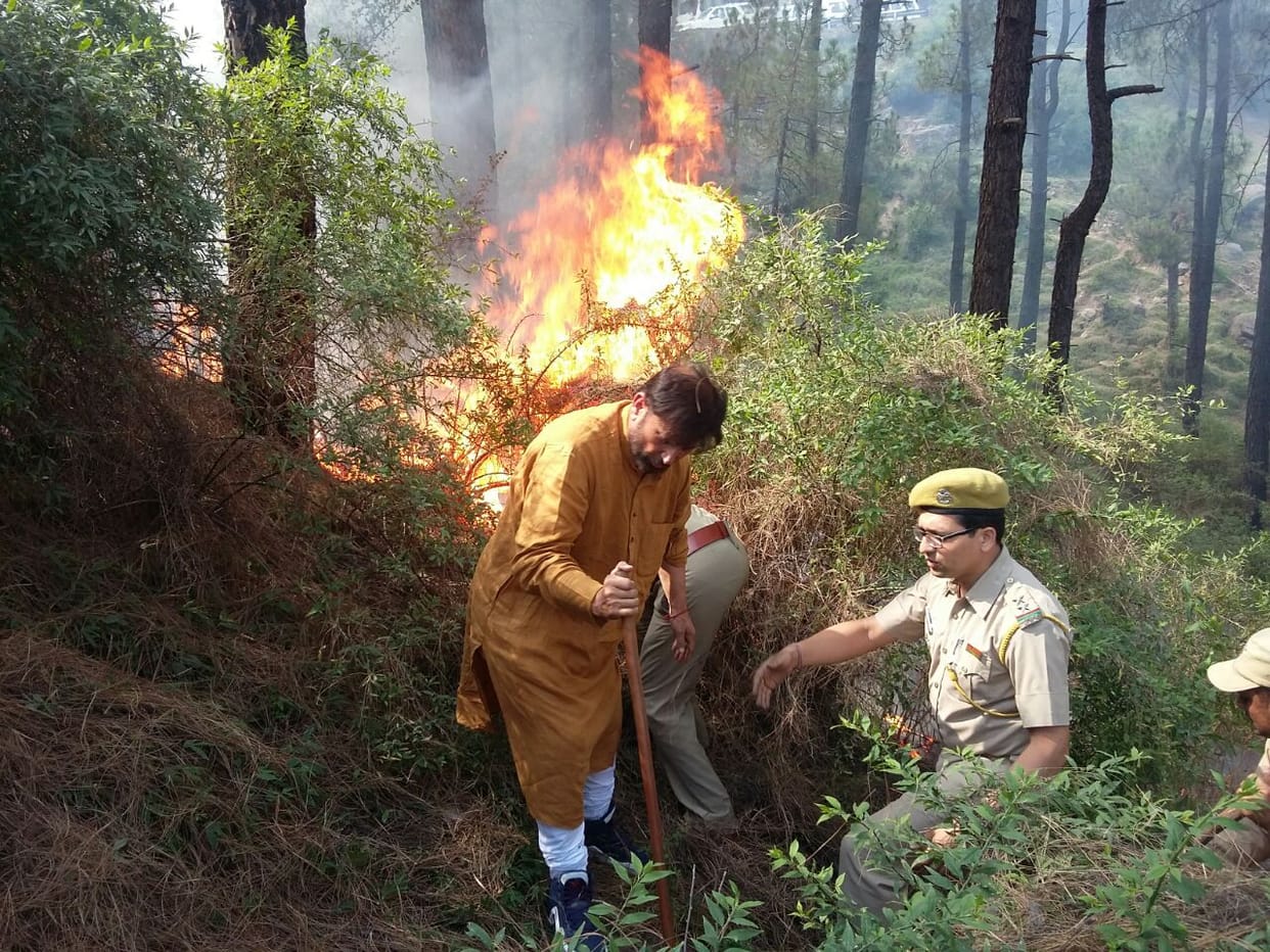 Forest Minister extinguish the fire in the forest