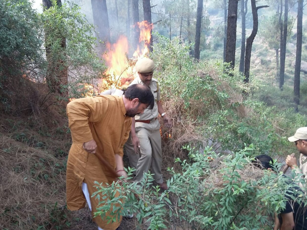 forest minister lal singh put out forest Fire in chinaini