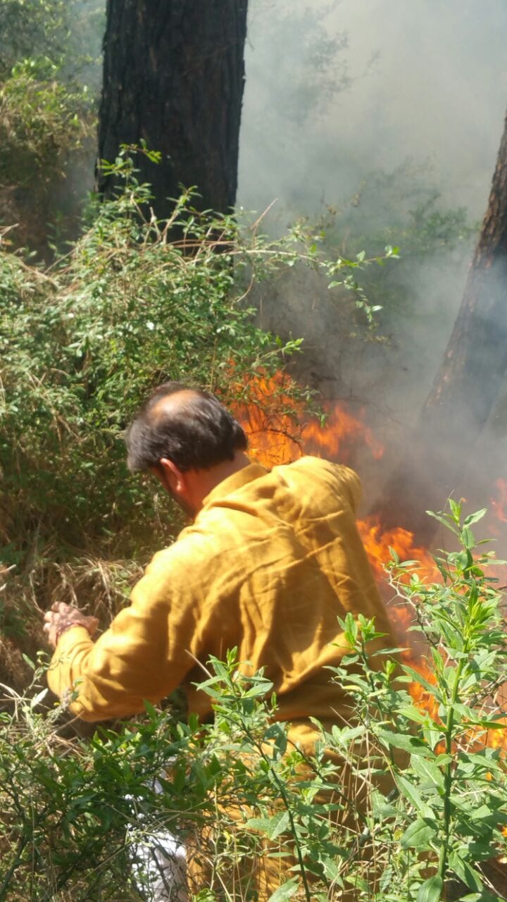 forest minister lal singh put out forest Fire in chinaini