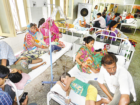 heat stroke caused 4 deaths