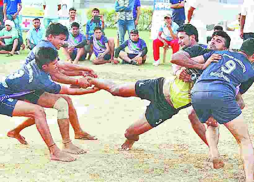 behlolpur bulls