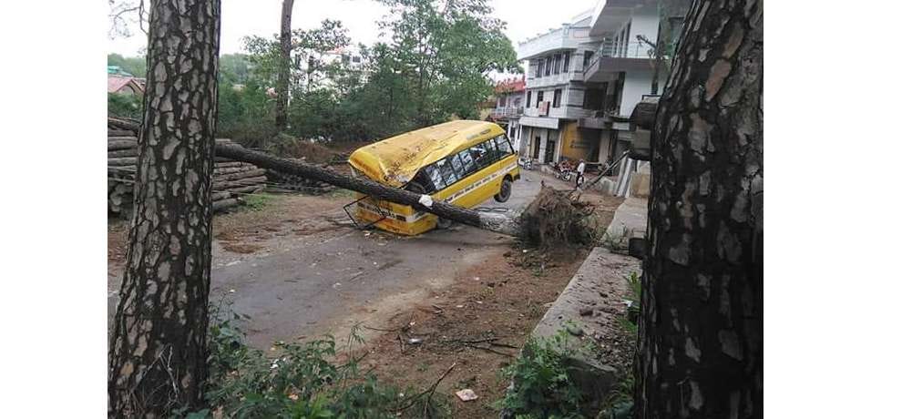 Tree falls on bus in storm