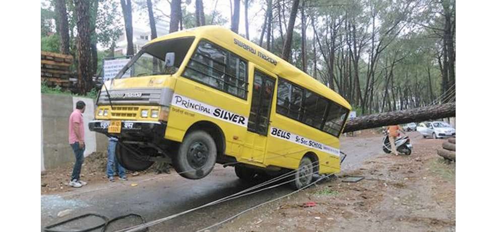 Tree falls on bus in storm