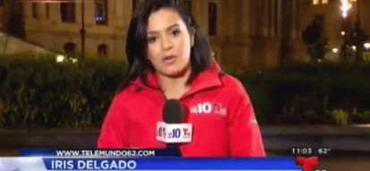 TV reporter is punched in the face during live broadcast