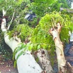 अंधड़ से दो झालों की छत उड़ी