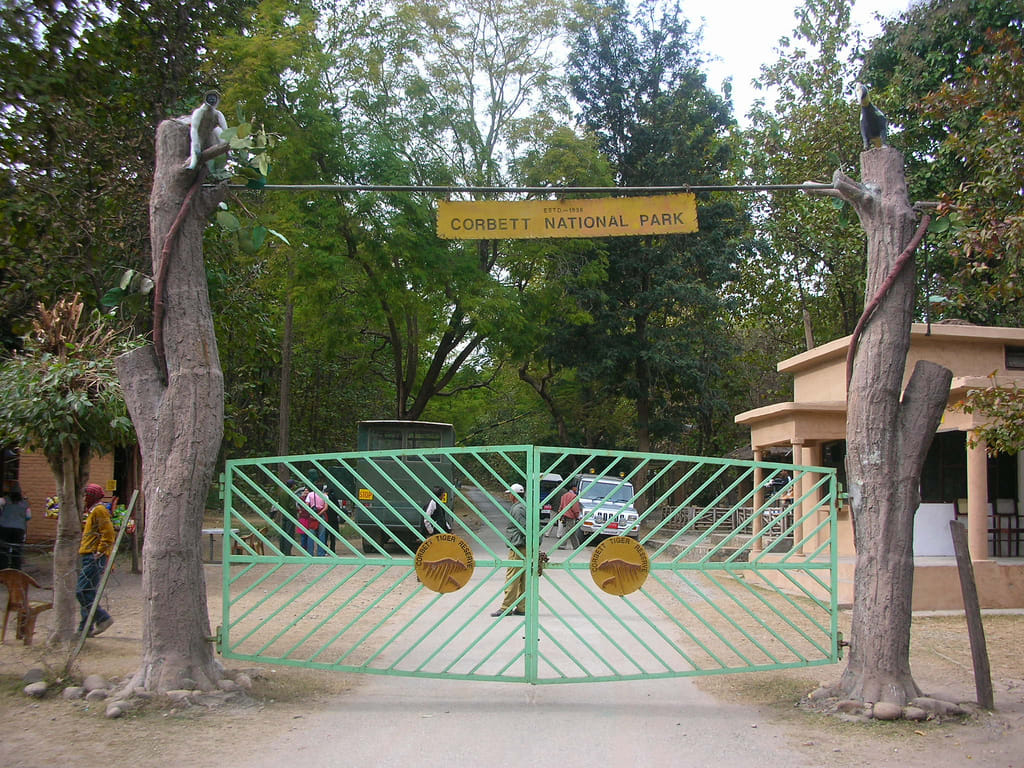 raveena tandon visit Corbett national park uttarakhand for see tiger