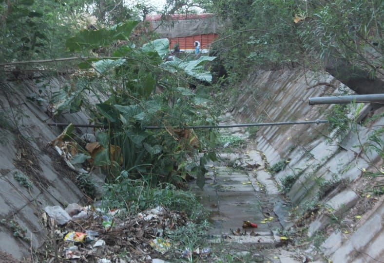  panchkula, Desecrated, drainage system, bad roads, panchkula