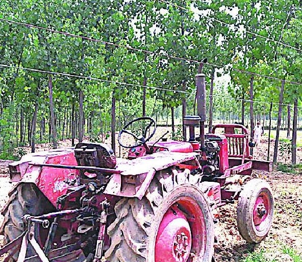 Four were killed in accident