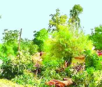 Trees fell on the track, rail traffic was closed for five hours