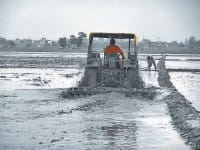 rain falll, farmmer,wantes crop
