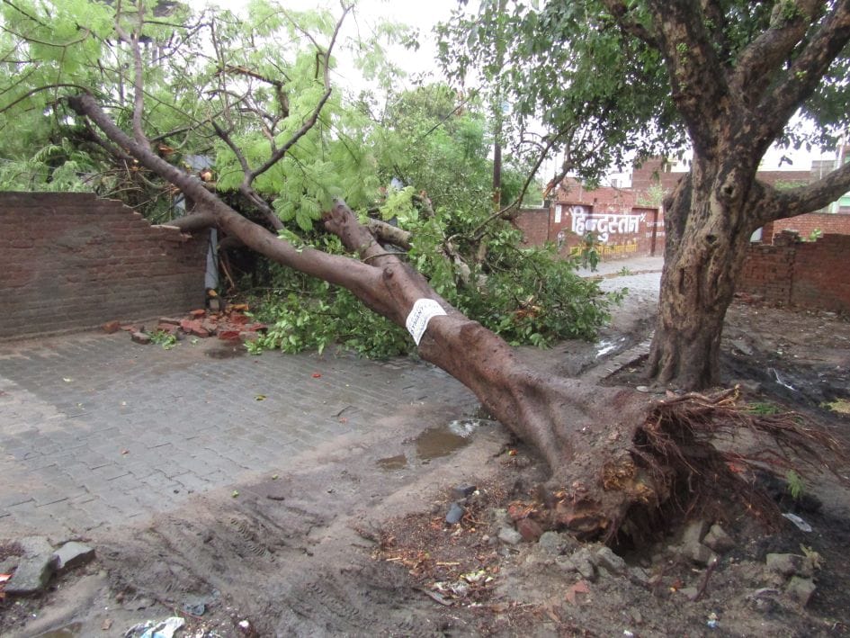 UP: 26 died due to gale and heavy rain in Agra division