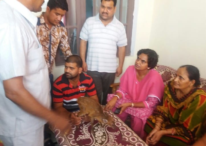 Wildlife, Department, team, assigned, child chital, panchkula